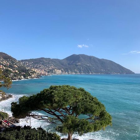 Villa Giulia By Holiday World ريكّو المظهر الخارجي الصورة